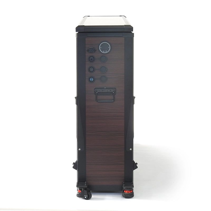 Weatherproof TV Lift Cabinet for TVs 55”, Indoor and Outdoor